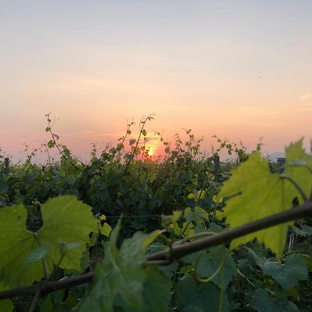 Appartamento La Corte Del Bona - Vicino Alle Cantine E A Circa 15 Minuti Dal Lago Di Iseo - Erbusco Esterno foto