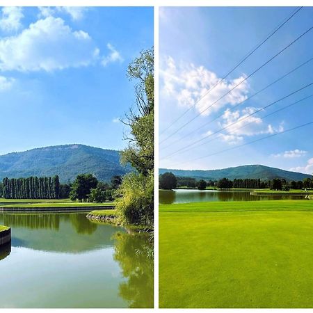 Appartamento La Corte Del Bona - Vicino Alle Cantine E A Circa 15 Minuti Dal Lago Di Iseo - Erbusco Esterno foto