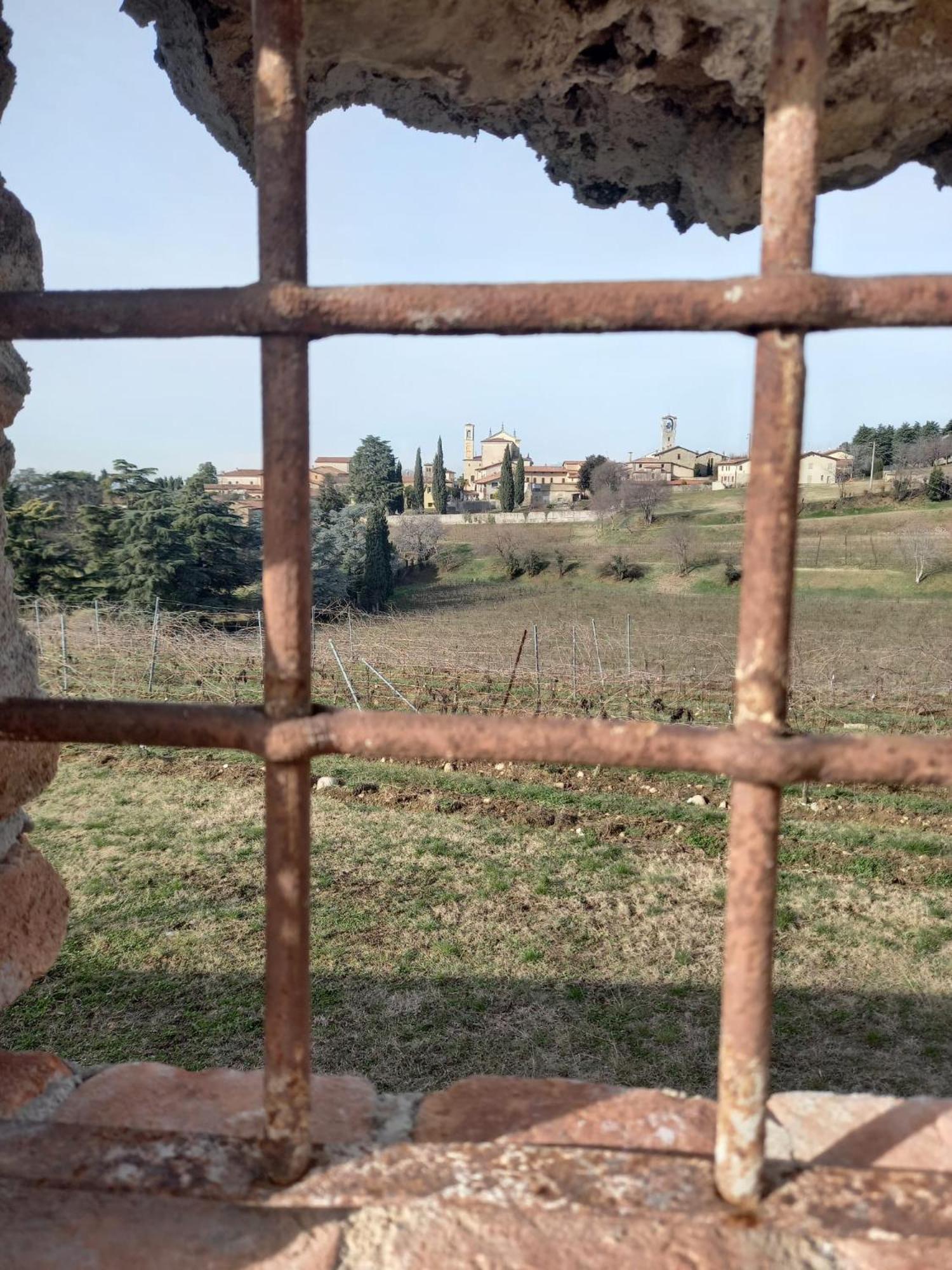Appartamento La Corte Del Bona - Vicino Alle Cantine E A Circa 15 Minuti Dal Lago Di Iseo - Erbusco Esterno foto