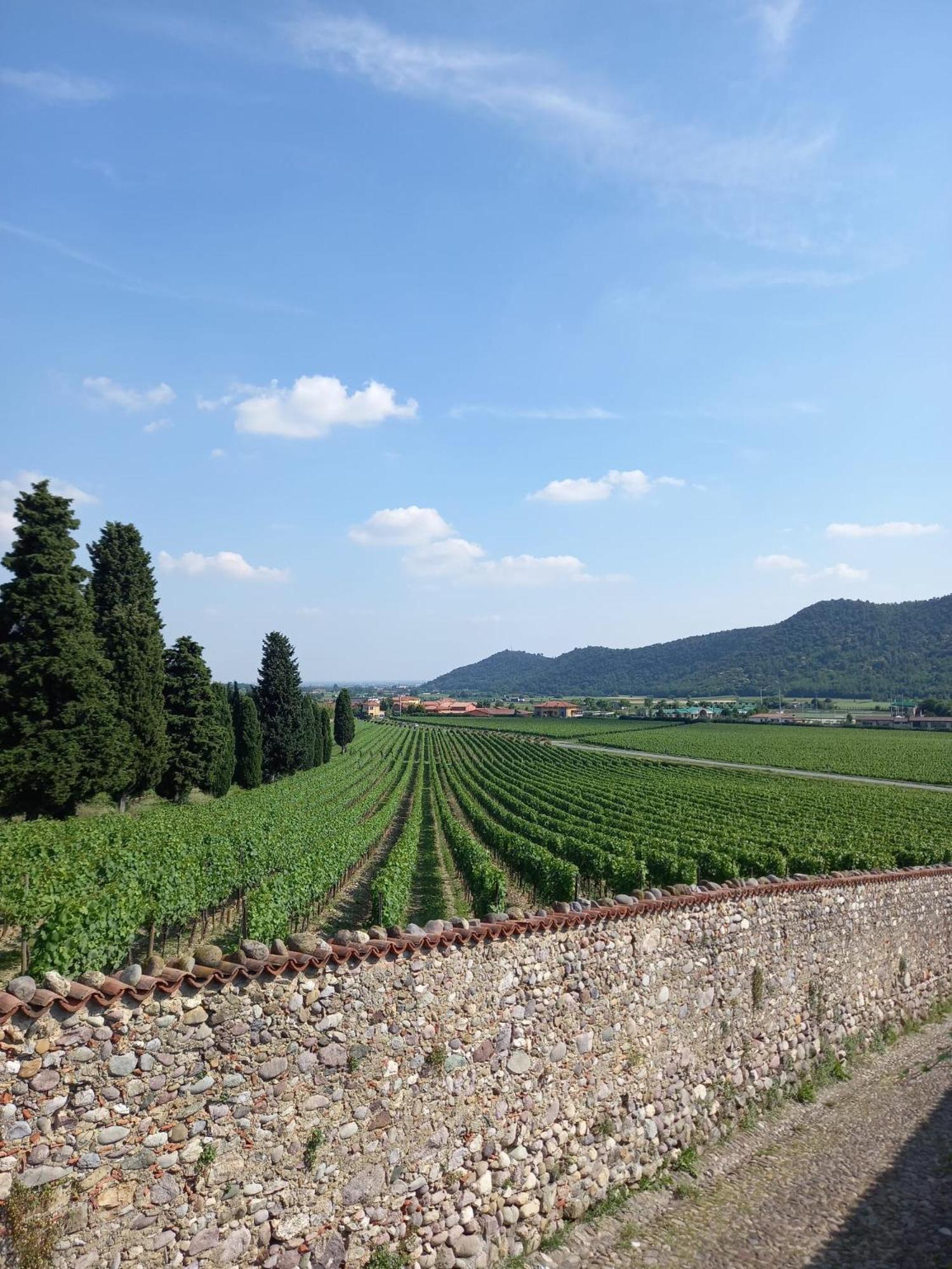 Appartamento La Corte Del Bona - Vicino Alle Cantine E A Circa 15 Minuti Dal Lago Di Iseo - Erbusco Esterno foto